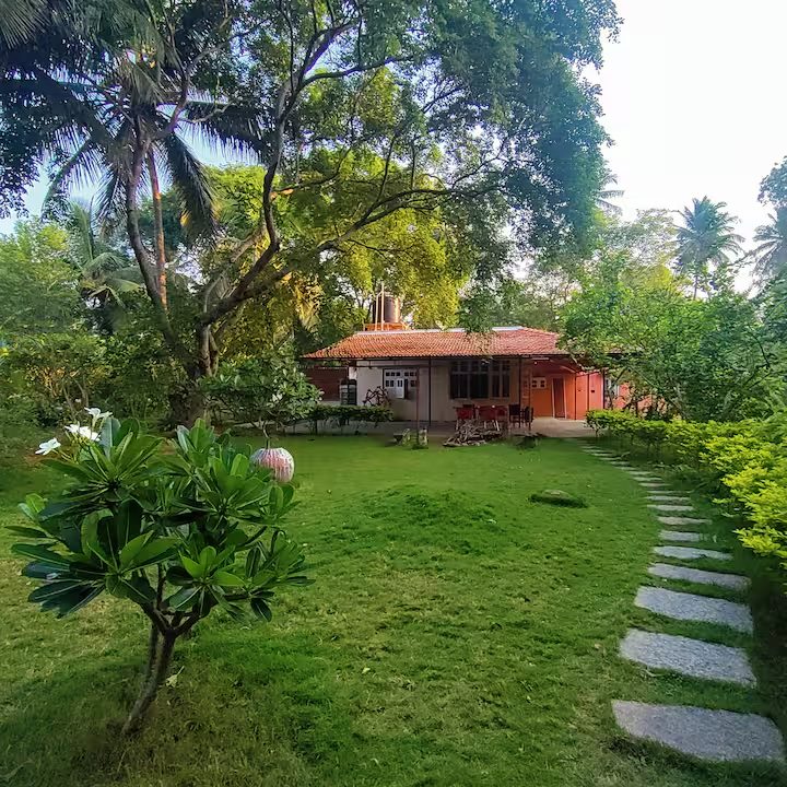 Open lawn and shade trees at the farm near Kanakapura Road, Bangalore