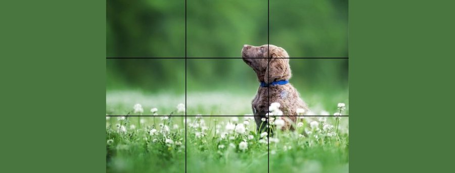 Mastering Photographic Composition
